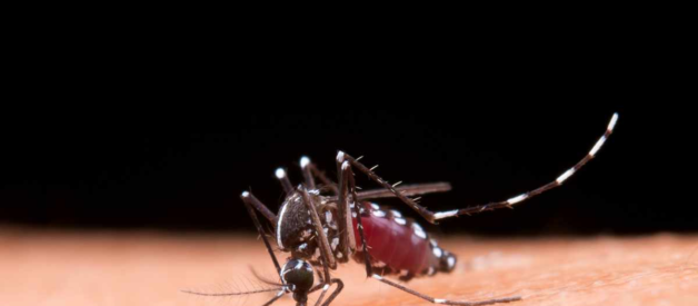 5 Essential Tips To Prevent Diarrhoea This Monsoon Season: Health Ministry Shares Guidelines