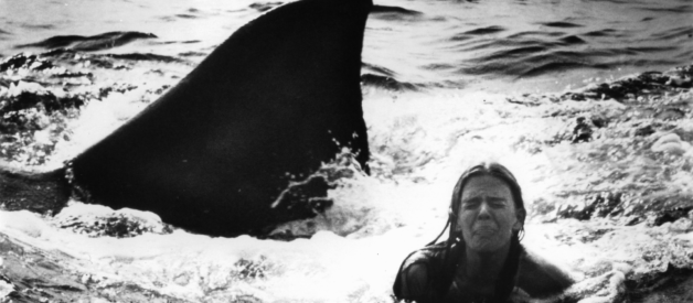 Jaws 2: A Movie Where the Novelization Was Better